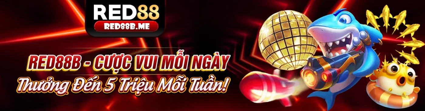 Ứng dụng Xin88 trên điện thoại